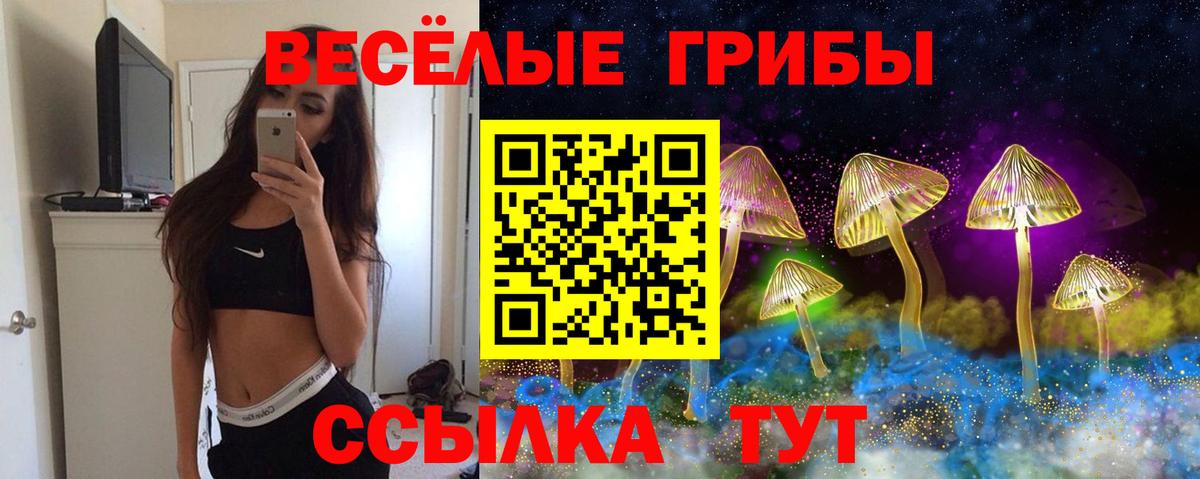 наркотики  Псилоцибиновые грибы мицелий  Вход с VPN  Кемерово  Псилоцибиновые грибы Magic Shrooms 